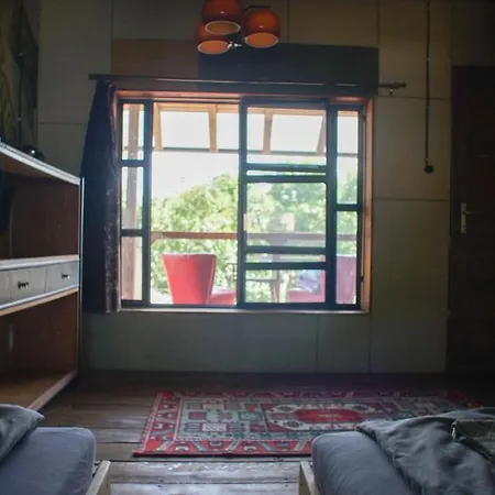 Sargarigo Elmenyhaz * Segedyn